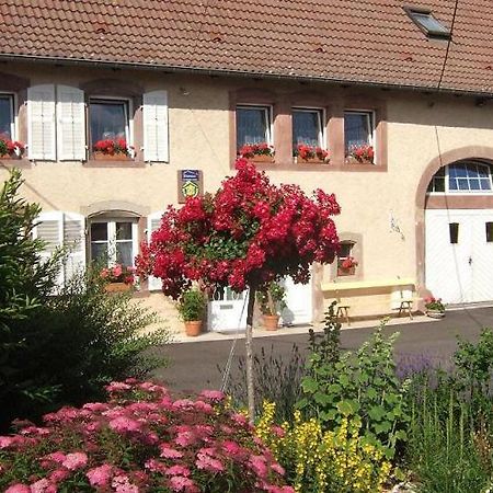 Chambre D'Hote Au Grenier D'Abondance Niderviller Exterior foto